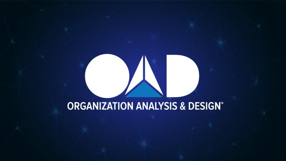 OAD organization analysis and design by John Lane